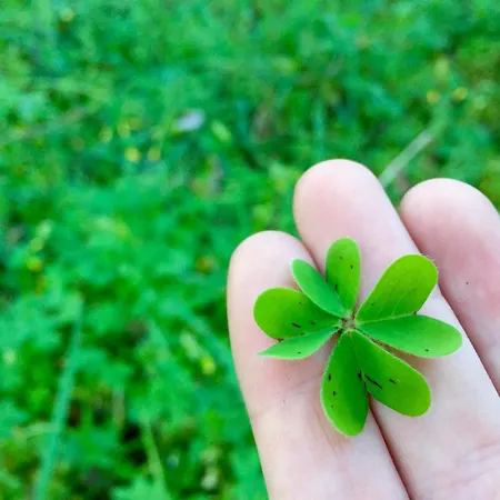 Lägenhet Dans Calme Porto-Vecchio (Corsica)